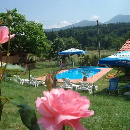 Sveti Georgi Family بيت ضيافة 3*